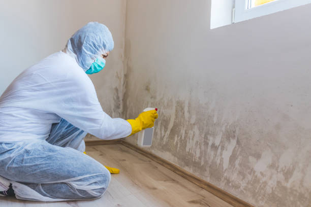 Crawl Space Mold Removal in Lyndhurst, VA