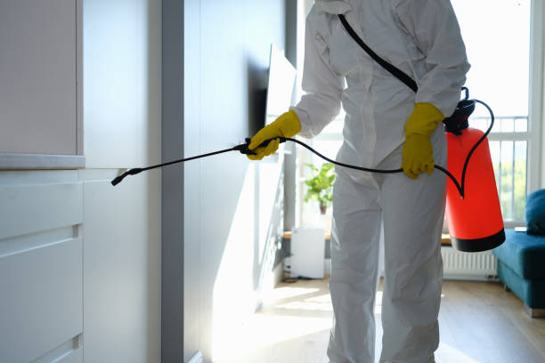  Lyndhurst, VA Mold Removal Pros