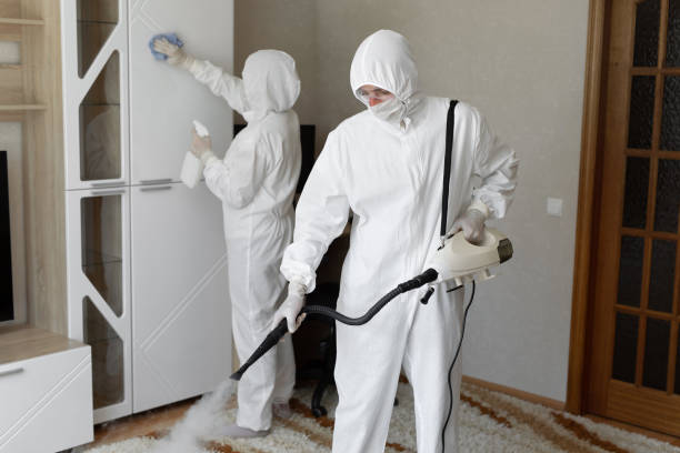 Best Best Mold Removal Companies  in Lyndhurst, VA
