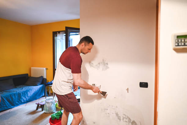 Best Mold Testing  in Lyndhurst, VA