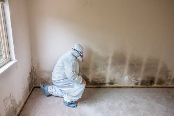 Water Damage Restoration in Lyndhurst, VA