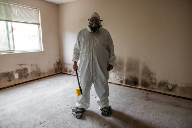 Certified Mold Removal in Lyndhurst, VA